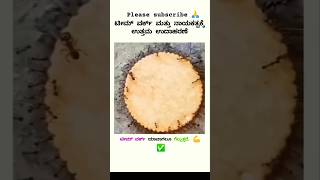 ಟೀಮ್ ವರ್ಕ್ ಯಾವಾಗಲೂ ಗೆಲ್ಲುತ್ತದೆ💯✅ please subscribe me🙏kannadaviralshort shortvideos subscribe [upl. by Zaid]