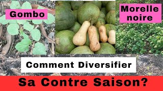 importance et pratique de la diversification en agropastoral [upl. by Anairb]