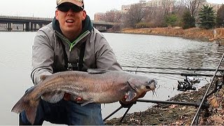 Bank fishing for catfish  How to catch catfish in a river  Winter catfishing [upl. by Enajharas]