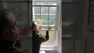 Easy Way To Close Top Sash Window WITHOUT A LADDER  1 CAUSE OF Cold Air  Draft from Windows [upl. by Beatrice]