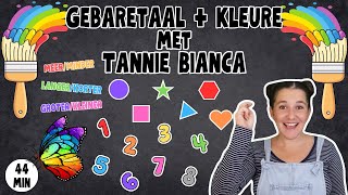 Gebaretaal  Kleure met Tannie Bianca  Leer Kleure Praat Tel Vorms Teenoorgesteldes  Meer [upl. by Rialb336]