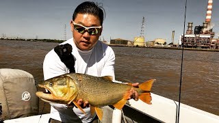 MUCHOS DORADOS en LA USINA y BOGAS en los Malecones del PUERTO Pesca Embarcado en LA COSTANERA [upl. by Allerim830]