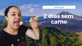 2 DIAS COMO VEGETARIANA 🥗 [upl. by Arinaid]