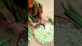 Achar Ho ta Karkalako Dathko Jasto 🤤🥵 Spicy Amilo Piro 😋 Making Achar By Happy Family shorts 🇳🇵 [upl. by Angele]