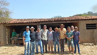 MOAGEM DE CANA NA FAZENDA PITOMBEIRA DA FAMÍLIA LAURINDO NO MUNICÍPIO DE MIRANDIBA PERNAMBUCO [upl. by Swanhilda]