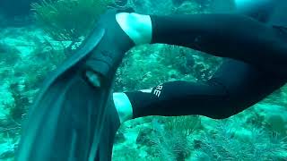 Scuba diving in Cancun [upl. by Schluter]