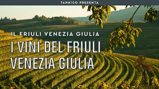 I vini del Friuli Venezia Giulia  Tannico Flying School [upl. by Eittel907]