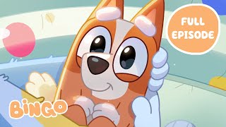 Baby Bingo 🥺 🧡  Dad Baby  Bluey Full Episode  Bingo  Official Channel [upl. by Ellicec]