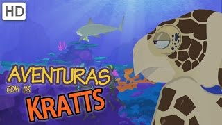 Aventuras com os Kratts – Nadar com Tartarugas Marinhas [upl. by Ystap]