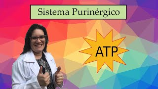 Purinas e pirimidinas como neuromediadores Sistema Purinérgico [upl. by Atinehc]