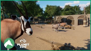 Gemsbok Habitat  Desert House  Elm Hill City Zoo  Planet Zoo [upl. by Bridge]