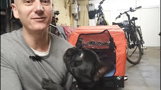 5 tips for carrying a dog in a bike trailer [upl. by Artimas]