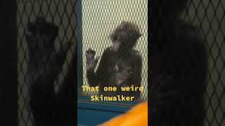 Skinwalker caught pt3‼️‼️⚠️💀👀 scary nightmare skinwalker creepy nightmarefuel [upl. by Haeckel54]