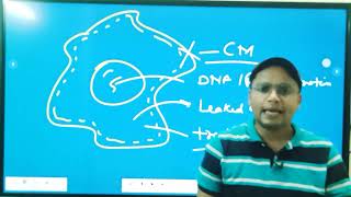 AntiProtozal drugs Introduction Classification Mode of action amp Use L8 Unit4 Medi Chem 6th sem [upl. by Phaih835]