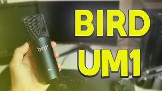 BIRD UM1 si bien que ça [upl. by Eiddam]