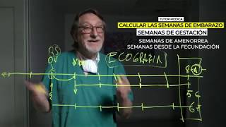 Cómo calcular las semanas de embarazo [upl. by Ing]