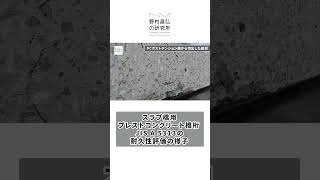 スラブ橋用プレストコンクリート橋桁 JIS A 5313の耐久性評価の様子｜㈱野村昌弘の研究所 [upl. by Beesley]