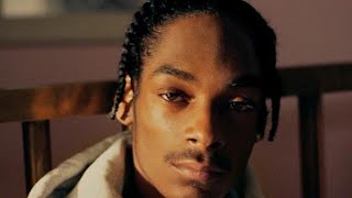 Snoop Dogg Who Am I Whats My Name？Official Music Remix [upl. by Nirehtak]