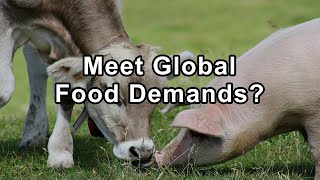 Do We Need Animal Agriculture To Meet Global Food Demands  Hope Bohanec [upl. by Nodmac]