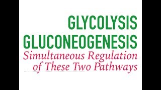 Glycolysis and Gluconeogenesis Regulation [upl. by Irehj]