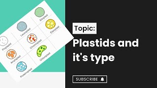 Plastids l types of plastids l Chloroplast l cell structure and function l XI biology [upl. by Cloe266]