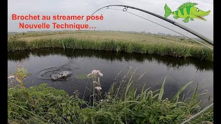 Nouvelle technique  Brochet au streamer posé [upl. by Eniretac]