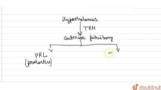 ThyrotropinReleasing Factor TRF is produced by [upl. by Ali]