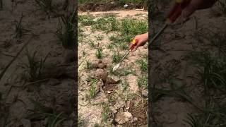 Great grass removing tool and weeding tool [upl. by Ewall]