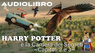 Harry Potter e la camera dei segreti  Lettura e Commento Cap 23  Audiolibro [upl. by Salem]