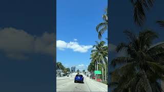 Miami Fl [upl. by Vina]