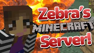 ANNOUNCEMENT VIDEO  Zebras Minecraft Community Server [upl. by Schober944]