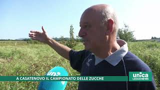 A Casatenovo il campionato delle zucche [upl. by Valli]