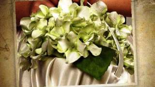 Naturaleza Exquisita Arreglos y decoracionesNovias y banquetesFlores preservadas [upl. by Lotsirk440]