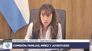 COMISIÓN COMPLETA FAMILIAS NIÑEZ Y JUVENTUDES  23 de octubre de 2024  Diputados Argentina [upl. by Adnylem79]