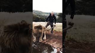 Scaring a Lion🦁 shorts lion lionvideo DeanSchneiderHakunaMipaka [upl. by Eldoria]