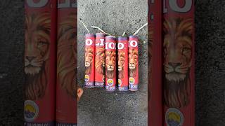 4 inch lion bomb testing 💣 himalayan fire works fireworks crackers shorts [upl. by Aisilef206]