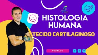 Histologia Humana  Tecido Cartilaginoso [upl. by Roede632]