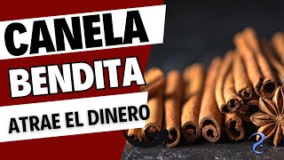 Atrae el dinero con Canela [upl. by Enyawud]