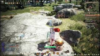 BDO  Como Craftar Bigorna de Acampamento Lua Minguante [upl. by Osnola72]