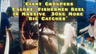 Giant 30 kg Groupers Galore Fishermen Reel in Massive More Big Catches [upl. by Mile]