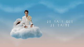 MIKA  Je sais que je taime Official Visualizer [upl. by Saraann326]