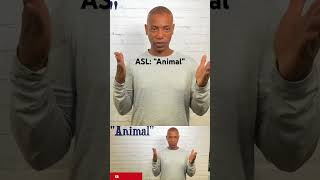 How to sign “Animal” in ASL [upl. by Suryt]