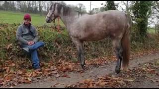 Gaspard Koenig sur les pas de Montaigne [upl. by Cindee]