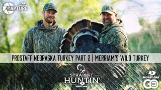 Prostaff Nebraska Turkey Part 2  Merriams Wild Turkey  Straight Huntin [upl. by Ahseneuq]