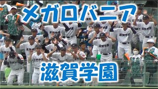 滋賀学園の応援『メガロバニア』20241027 近畿大会 ほっともっとフィールド神戸 [upl. by Dael]