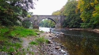 Slide Show of some Dry Flies tyed by Davie McPhail [upl. by Kenlee395]