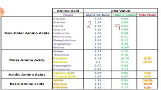 Ch3 Amino Acid part 3 protonated and deprotonated amino acids based on pka [upl. by Eceinej]