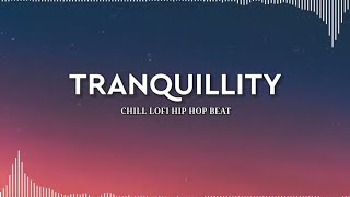 Tranquillity  Chill Lofi Hip Hop Beat Prod Riddiman  1 Hour [upl. by Nahpos]