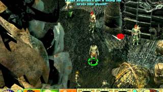 PLANESCAPE TORMENT  Blackrose  gameplay  part 32  EN  hardest difficulty  HD [upl. by Ojaras]