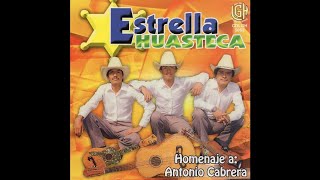 Estrella Huasteca  El Toro Requezon [upl. by Nosidda]